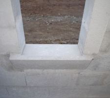 Rez de chauss&eacute;e