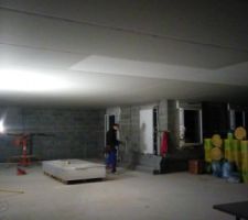 Plaquage du plafond au leve plaque c'est nikel 2 jour et c'etais fini ^^