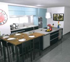 Choix de la cuisine