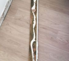 Elevage de champi dans la chambre parentale !