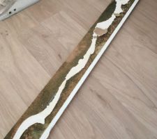 Elevage de champi dans la chambre de bébé ! On sait pourquoi notre fille tousse autant la nuit ..