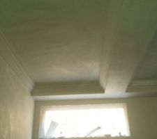 Pl&acirc;tre projet&eacute; sur m&ucirc;rs .en briques .et au plafond dans le sous sol. .