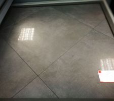 Carrelage 60x60 Brillant/Poli Toutes les pièces sauf chambre et salle de bain