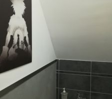 Deco murale WC avec le système "Displate" - février 2018
