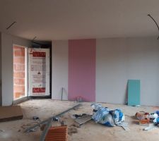 Cloisons quasiment terminées - Salon (la plaque rose est une plaque de M0, pare-feu)