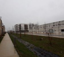 Rue Tom Morel
