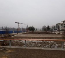 Esplanade Napol&eacute;on Bonaparte. Des arbres viennent d'&ecirc;tre plant&eacute;s.