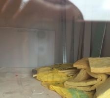 Photos prises mardi