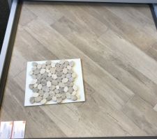Choix nouveau carrelage avec galets douche italienne sdb chambre parentale