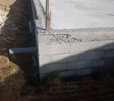 Traitement  anti termite