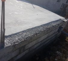 Traitement  anti termite