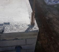 Traitement  anti termite