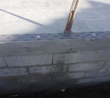 Traitement  anti termite