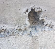Traitement  anti termite