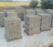 Livraison apres 3 bonnes semaines