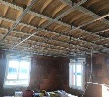 Pose de la structure du plafond