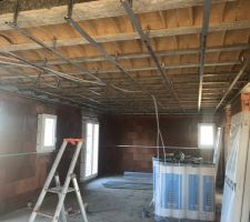 Pose de la structure du plafond