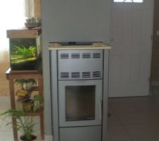 Po&euml;le &agrave; granules Palazzetti