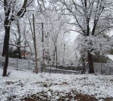 Premières chutes de neige sur la maison !