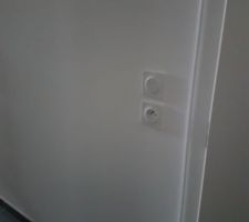 Appartement Témoin