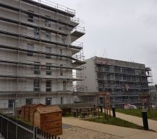 Travaux des façades