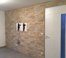 Mur de parements Salon