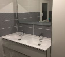 Pose meuble double vasque+ colonne+ miroir éclairant