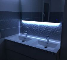 Pose meuble double vasque+ colonne+ miroir éclairant