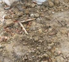 Remise a niveau de la terre devant la maison par mon terrassier je le conseille même pas a mon pire ennemie une vrai horreur il ma dépose de la terre issu d'un autre chantier avec une tonne de gravât à l intérieur et évidemment maintenant il fait la sourde oreille à mes appelle.