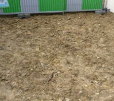 Remise a niveau de la terre devant la maison par mon terrassier je le conseille même pas a mon pire ennemie une vrai horreur il ma dépose de la terre issu d'un autre chantier avec une tonne de gravât à l intérieur et évidemment maintenant il fait la sourde oreille à mes appelle.