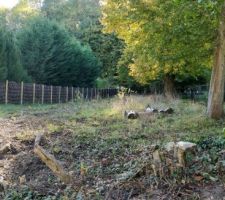 Terrain nettoy&eacute;