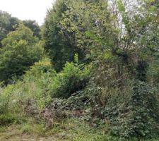 Terrain non nettoy&eacute;