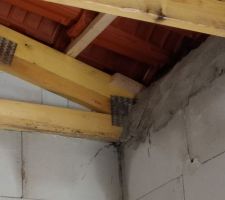Création de la toiture