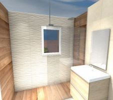 Essai 3D salle de bain avant de lancer le projet