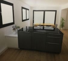 Cuisine - implantation double linéaire - variante