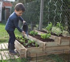 Potager en carré