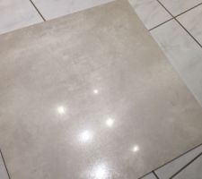 Carrelage 60x60 grès cérame rectifié (éclairage spots LED blanc)
Modèle Glade Branco Réf ML16533RT
