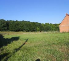 Le terrain