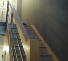 La cage d'escalier