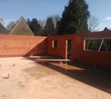 El&eacute;vation des murs termin&eacute;e