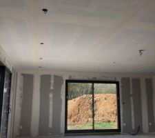 Ratissage plafond