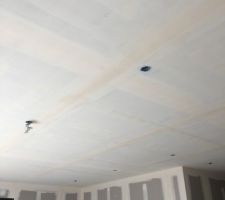 Ratissage plafond