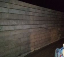 &Eacute;l&eacute;vation des murs