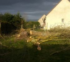 Abattage du frêne lundi 11 mars 2018 (matin). S.a.S Garcia (60).