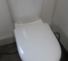 Toilettes ... pas suspendu !