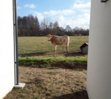 Mes voisines !