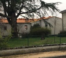 Vue de la rue des cèdres