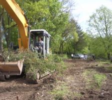 D&eacute;blayage des abres partie inf&egrave;rieur