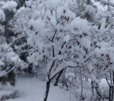 Le var sous la neige ... déjà 3 fois cet hivers du jamais vu ... c'est beau mais c'est FROID !!!