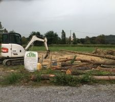 Abattage des arbres par le terrassier